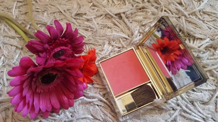 13009888_10153517621003240_1251806441_o