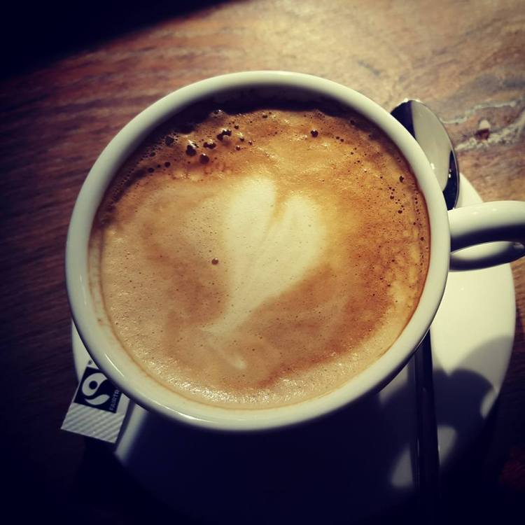 12002812_731022600342917_5636154240262761462_n