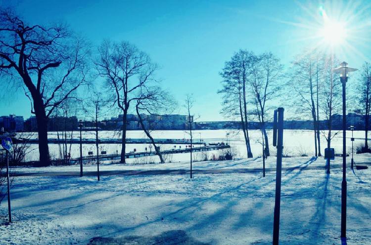 15608489_10154135933388240_2130296141_o