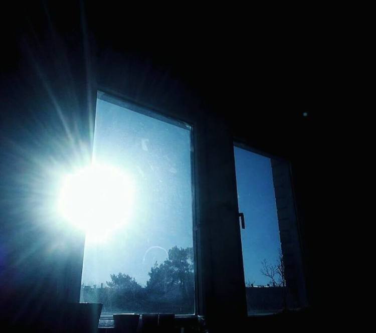 15644666_10154135933398240_1879066302_n