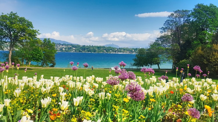 2017-04-19-21-21-19-439