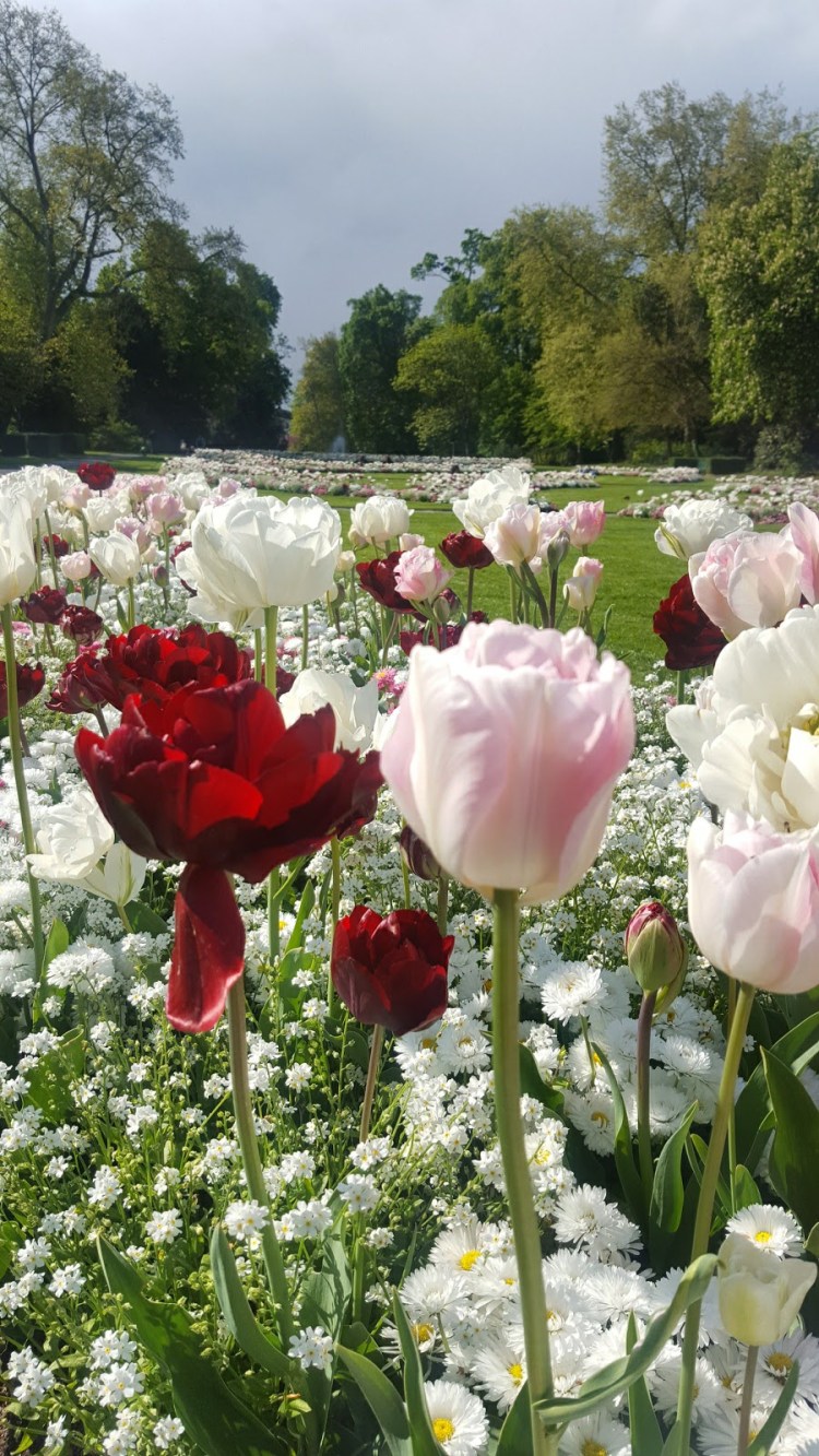 2017-04-19-21-23-23-093