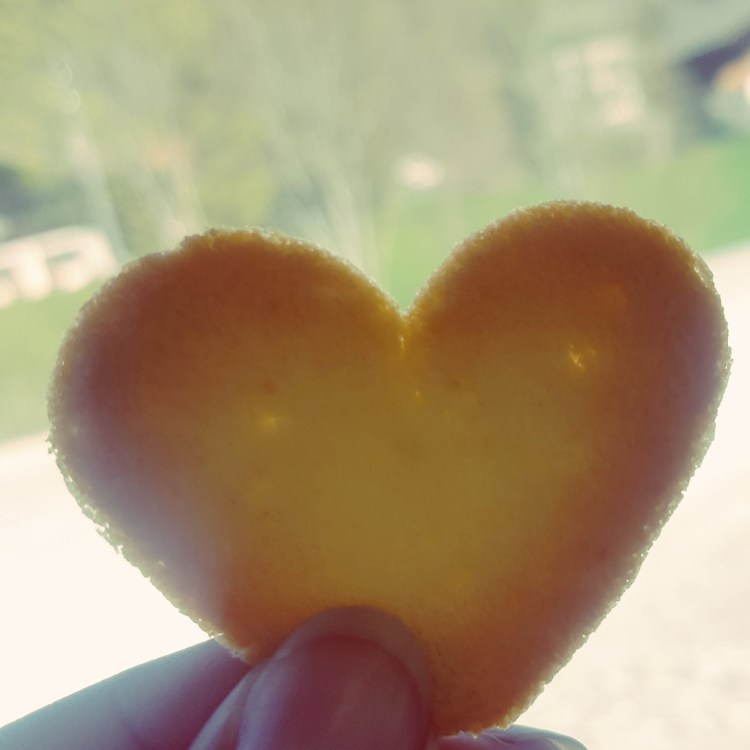 IMG_20170409_231319_137