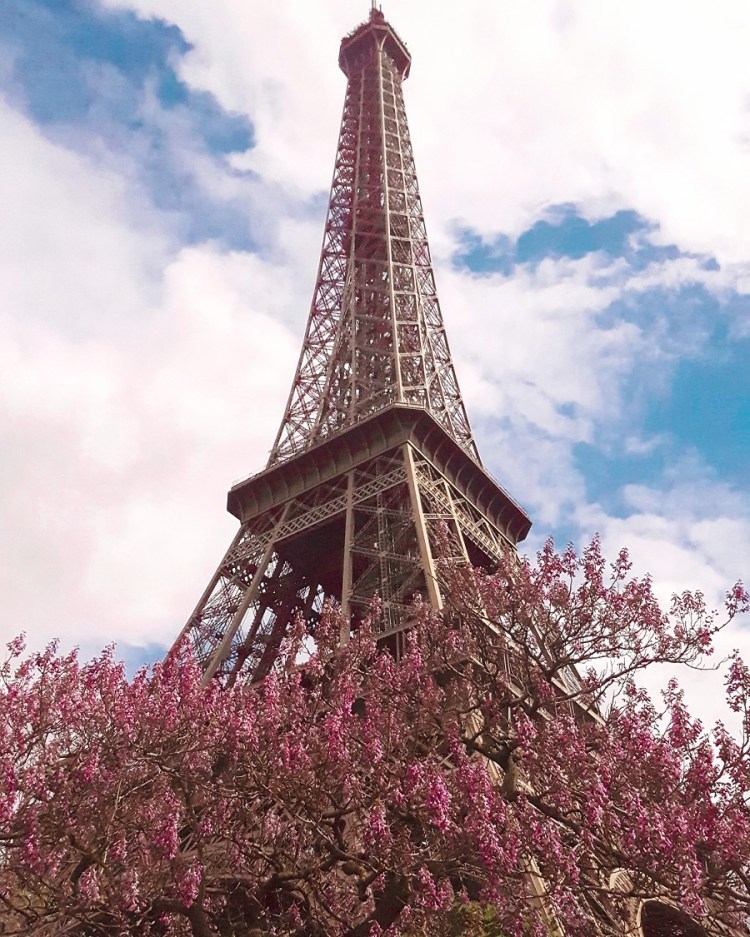 IMG_20170417_000924_263