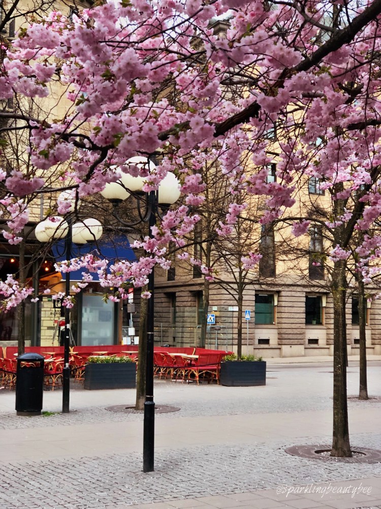 68C6E82F-4FBC-4333-86FB-9D31E428D4C8