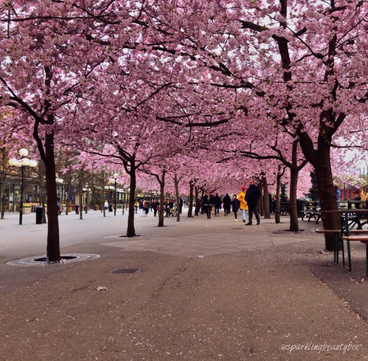 CE1ABF8D-2EAD-439F-A4BA-5F44A2995B42