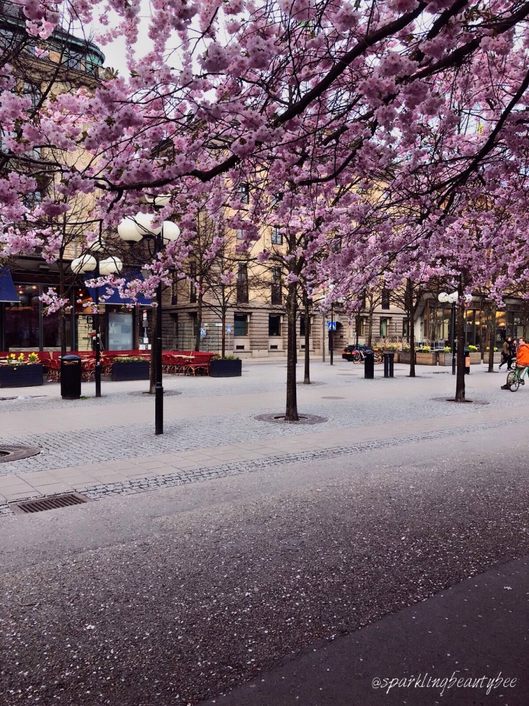 D5E151B1-FA90-446C-87DD-021E8310A495