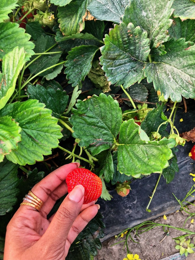 EF74AD2D-E538-41A1-95A0-1AF7AB10C41D