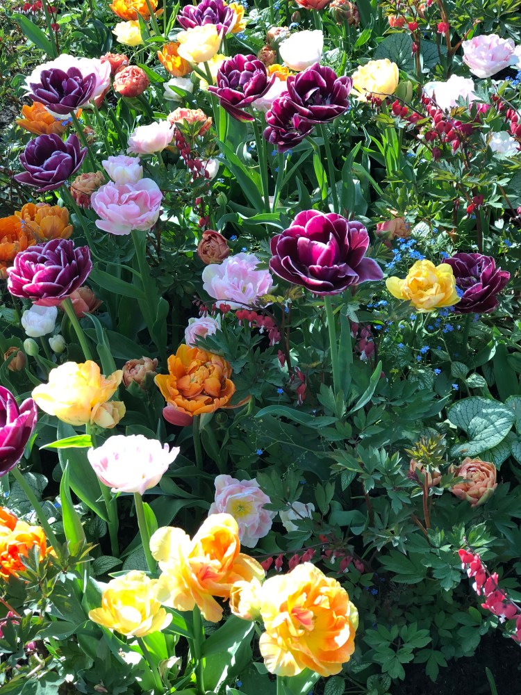 2213B318-73E8-4246-81DE-957297B71199