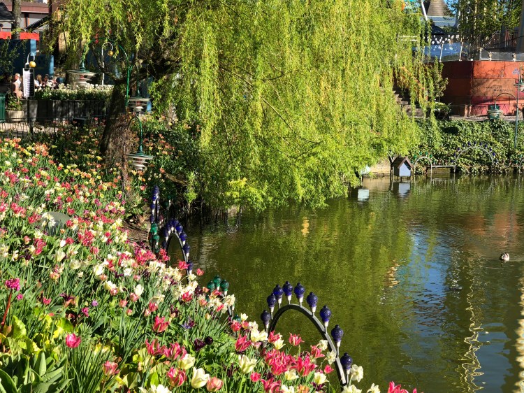 660B2E00-5E43-4A16-80D8-AF9017F6A25D