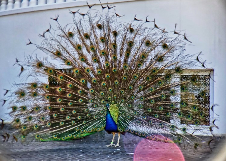 77444A9F-5626-4AAC-B5FA-A4DB002D1169