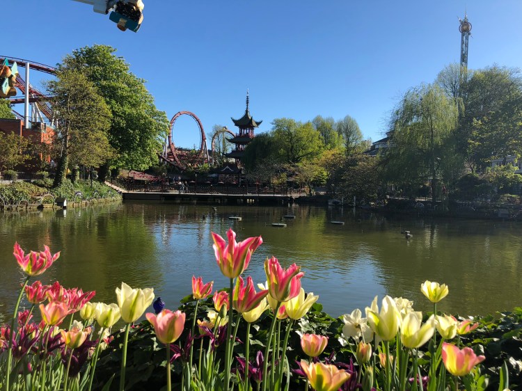 80D7DCD1-8893-4AB2-BE2E-2ACAC6843D38