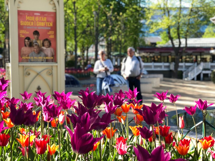 83E8FA33-42CB-49D9-9159-F38DC49F9E87