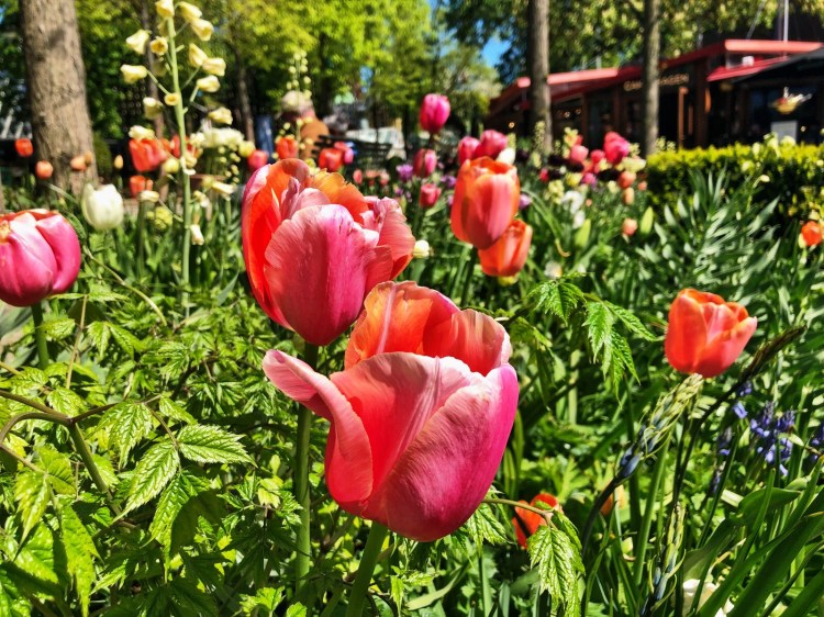 C1B7865B-B20F-4302-BD51-0CA5591463FF